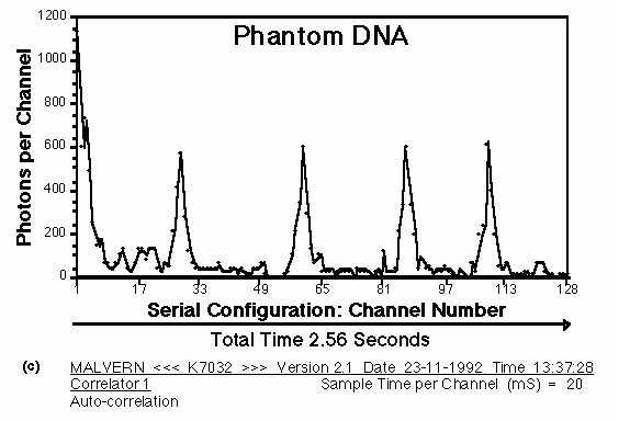 07_dna-phantom-3